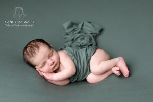 Alexander Nickov Weber Alexander Nickov Weber