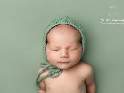 <div class=boy-info-container style=background-color:#d3eafc;><h4 class=boy>Alwin Wobst</h4></div> <div class=boy-info-container style=background-color:#d3eafc;><h4 class=boy>Alwin Wobst</h4></div>