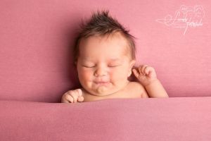 Amber Plank Amber Plank