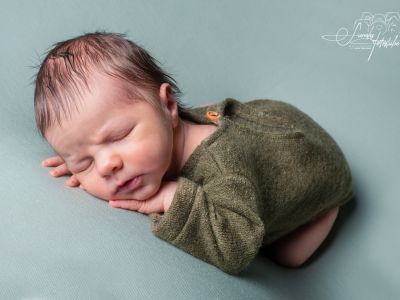 <div class=boy-info-container style=background-color:#d3eafc;><h4 class=boy>Apollo</h4></div> <div class=boy-info-container style=background-color:#d3eafc;><h4 class=boy>Apollo</h4></div>