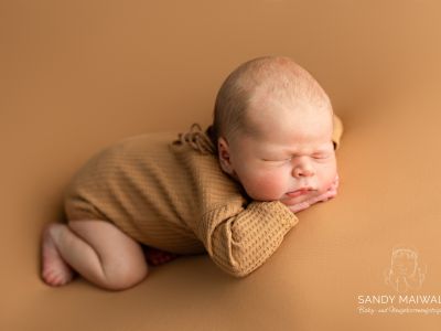 <div class=boy-info-container style=background-color:#d3eafc;><h4 class=boy>Bruno Alfred</h4></div> <div class=boy-info-container style=background-color:#d3eafc;><h4 class=boy>Bruno Alfred</h4></div>