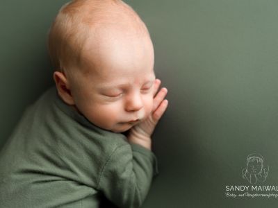 <div class=boy-info-container style=background-color:#d3eafc;><h4 class=boy>Carlo</h4></div> <div class=boy-info-container style=background-color:#d3eafc;><h4 class=boy>Carlo</h4></div>