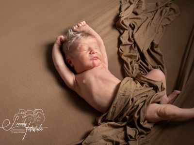 <div class=boy-info-container style=background-color:#d3eafc;><h4 class=boy>Charly</h4></div> <div class=boy-info-container style=background-color:#d3eafc;><h4 class=boy>Charly</h4></div>