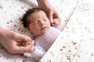 Clara Therese Clara Therese