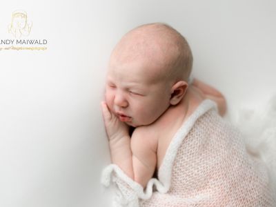 <div class=girl-info-container style=background-color:#f0d2d2;><h4 class=girl>Frieda Schmidt</h4></div> <div class=girl-info-container style=background-color:#f0d2d2;><h4 class=girl>Frieda Schmidt</h4></div>