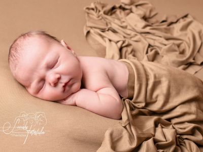 <div class=boy-info-container style=background-color:#d3eafc;><h4 class=boy>Fritz Schumann</h4></div> <div class=boy-info-container style=background-color:#d3eafc;><h4 class=boy>Fritz Schumann</h4></div>