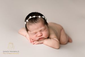 Elena Schmieder Elena Schmieder