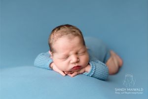 Elio