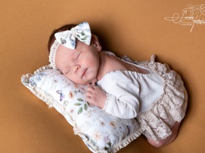 <div class=girl-info-container style=background-color:#f0d2d2;><h4 class=girl>Emmi</h4></div> <div class=girl-info-container style=background-color:#f0d2d2;><h4 class=girl>Emmi</h4></div>