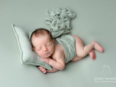 <div class=boy-info-container style=background-color:#d3eafc;><h4 class=boy>Finn Sadowski</h4></div> <div class=boy-info-container style=background-color:#d3eafc;><h4 class=boy>Finn Sadowski</h4></div>