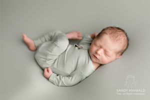 Flynn Noel Schneider