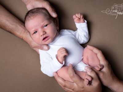 <div class=boy-info-container style=background-color:#d3eafc;><h4 class=boy>Freddy</h4></div> <div class=boy-info-container style=background-color:#d3eafc;><h4 class=boy>Freddy</h4></div>