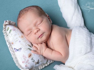 <div class=girl-info-container style=background-color:#f0d2d2;><h4 class=girl>Frieda</h4></div> <div class=girl-info-container style=background-color:#f0d2d2;><h4 class=girl>Frieda</h4></div>