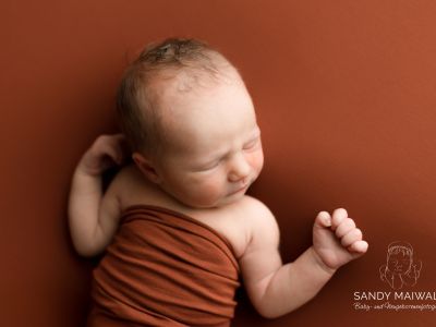 <div class=girl-info-container style=background-color:#f0d2d2;><h4 class=girl>Hailey Louise Schröers</h4></div> <div class=girl-info-container style=background-color:#f0d2d2;><h4 class=girl>Hailey Louise Schröers</h4></div>