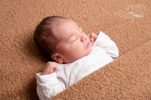 Emil Hammerschmidt Emil Hammerschmidt