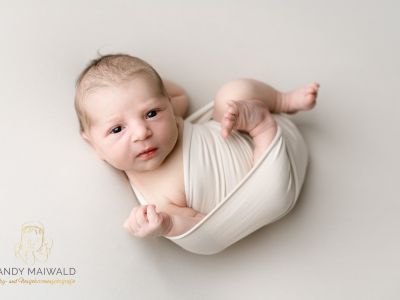 <div class=girl-info-container style=background-color:#f0d2d2;><h4 class=girl>Karlotta</h4></div> <div class=girl-info-container style=background-color:#f0d2d2;><h4 class=girl>Karlotta</h4></div>