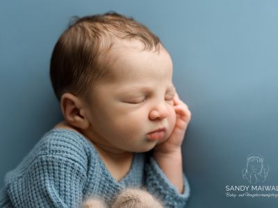 <div class=boy-info-container style=background-color:#d3eafc;><h4 class=boy>Leopold</h4></div> <div class=boy-info-container style=background-color:#d3eafc;><h4 class=boy>Leopold</h4></div>