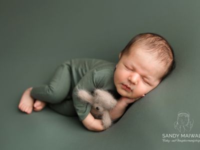 <div class=boy-info-container style=background-color:#d3eafc;><h4 class=boy>Lewie Heinz Herold</h4></div> <div class=boy-info-container style=background-color:#d3eafc;><h4 class=boy>Lewie Heinz Herold</h4></div>