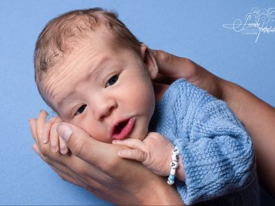 <div class=boy-info-container style=background-color:#d3eafc;><h4 class=boy>Noah Milo</h4></div> <div class=boy-info-container style=background-color:#d3eafc;><h4 class=boy>Noah Milo</h4></div>