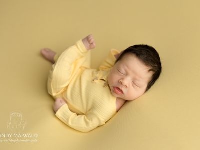 <div class=girl-info-container style=background-color:#f0d2d2;><h4 class=girl>Paula Döbereiner</h4></div> <div class=girl-info-container style=background-color:#f0d2d2;><h4 class=girl>Paula Döbereiner</h4></div>