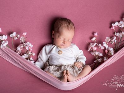 <div class=girl-info-container style=background-color:#f0d2d2;><h4 class=girl>Rosalie Dorothea</h4></div> <div class=girl-info-container style=background-color:#f0d2d2;><h4 class=girl>Rosalie Dorothea</h4></div>