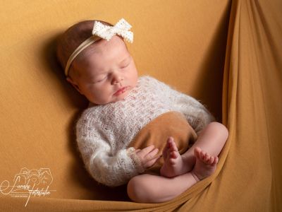 <div class=girl-info-container style=background-color:#f0d2d2;><h4 class=girl>Mira Elisa Sophia</h4></div> <div class=girl-info-container style=background-color:#f0d2d2;><h4 class=girl>Mira Elisa Sophia</h4></div>