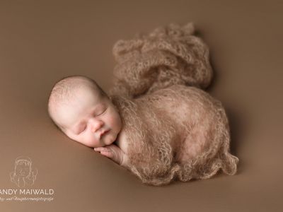 <div class=boy-info-container style=background-color:#d3eafc;><h4 class=boy>Theodor</h4></div> <div class=boy-info-container style=background-color:#d3eafc;><h4 class=boy>Theodor</h4></div>