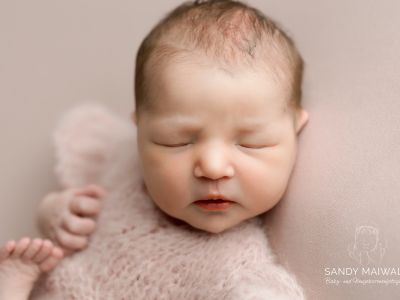 <div class=girl-info-container style=background-color:#f0d2d2;><h4 class=girl>Tiara Steiniger</h4></div> <div class=girl-info-container style=background-color:#f0d2d2;><h4 class=girl>Tiara Steiniger</h4></div>