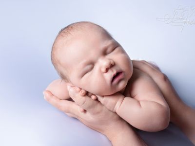 <div class=boy-info-container style=background-color:#d3eafc;><h4 class=boy>Till Getzschmann</h4></div> <div class=boy-info-container style=background-color:#d3eafc;><h4 class=boy>Till Getzschmann</h4></div>