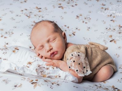 <div class=girl-info-container style=background-color:#f0d2d2;><h4 class=girl>Lia Hayley Zeidler</h4></div> <div class=girl-info-container style=background-color:#f0d2d2;><h4 class=girl>Lia Hayley Zeidler</h4></div>